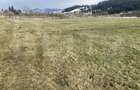 Teren intravilan de vanzare, 12.500 mp, zona Vatra Dornei, Podul Coșnei - 1