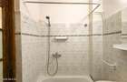 Lunei - Ion Neculce, 2 Apartamente. Mansarda 157 mp. Anexe, Lot 475 mp - 23