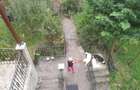 Vilă cu livadă, inconjurata de pădure, oază de liniște și relaxare - 8