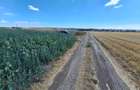 Teren de vanzare intravilan 5000mp localitatea Lazu - 1