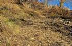 Teren de vânzare în sat Măgura/ Brasov– loc pentru familie, liniște și suflet - 24