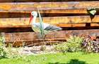 Ap 2cam | 15min M Nicolae Teclu | Centrala proprie | Parcare | Pet Friendly