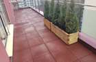 Luxury Penthouse for Rent - 17