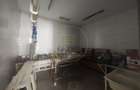 Spatiu comercial 9 camere, casa 2 camere,  teren 354 mp, Brestei. - 6