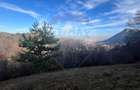 Teren Colinar Panoramic – 17.684 mp în Scheii Brașovului - 10