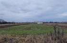RECO Teren intravilan in Bors cu front mare - 1