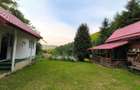 casa si cabana de vanzare Capus Gilau