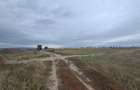 Oază de Natură și Potențial: Teren de 48.100 mp lângă Delta din Carpați - 11