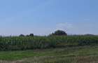 Teren agricol sau zona agrement HALCHIU - langa Lacuri si Balastiera - 6