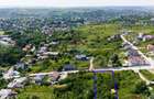 Teren de Vânzare 1450mp la asfalt - Plopii Fără Soț - Bucium, Iași - 2