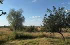 🏡 Casă de vânzare în satul Cruceni - 15