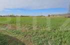 Teren in Razvad intravilan 1400mp cu acces la curent electric - 1