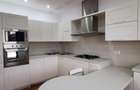 Dorobanti Penthouse supr. 235mp terasa 130mp - 16