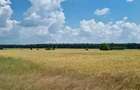 11 Loturi Teren Intravilan | 430 mp / lot | Acces Rapid A2 | Ideal Dezvoltare - 6