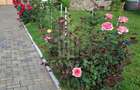 Casa de vanzare in exclusivitate | Avrig - 1