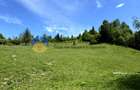Teren 11557 mp comuna Ceahlau