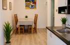 Garsoniera la casa, mobilata, 38mp, camara, boxa pivnita, cu teren 20mp, Centrul - 1