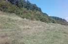 Teren, loc de casă, vânzare 3500 mp Cornesti-Bălești-Gorj, 2 euro mp - 7