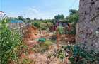 Casa tip parter si teren 677mp in zona Transilvaniei - 3