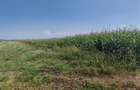 Teren agricol sau zona agrement HALCHIU - langa Lacuri si Balastiera - 1