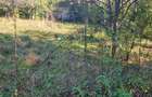 Teren intravilan 1781 mp în Băile Olănești – zonă turistică - 3