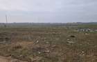Teren extravilan parcelat, suprafață 726 mp, Cernele - 2