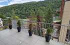 Apartament de lux cu 2 camere, de vanzare la Sinaia - 11