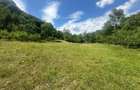 Teren Intravilan 700 mp| Ideal pentru cabana| zona Valea Vintului - 1