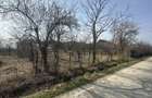 Parcele de 400 mp intravilan str. Olteni, Mosoaia, Arges - 2