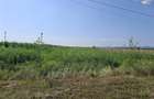 Teren intravilan 1600 mp, zona Nicolae Balcescu - 11