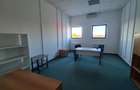 Spatiu show room, 1500 mp , parcare , Calea Lugojului - 9