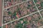Casă 3 camere, Teren 1036 mp Front 22 m - Str. Florilor 46 - Carei - 19