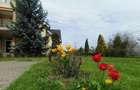 Reședință de lux cu potențial comercial –zonă Băi, Sângeorgiu de Mureș - 2