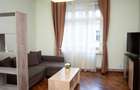 Ultracentral - Apartament 1 camera, Palatul Victoria, Piata Operei - 1