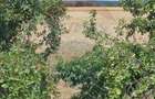 Vanzare Teren Intravilan Buftea, 750mp, str. Ulmului, Pista Biciclete - 7