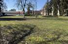 Teren festivaluri, Evenimente, Piete de Weekend ULTRACENTRAL ,Calea Plevnei  - 8
