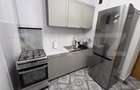 Apartament 1 camera, 42 mp, pet-friendly, zona Mehedinti