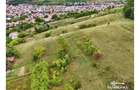 Teren intravilan de aproape 3 ha la liziera pădurii | cartierul Gloria - 6