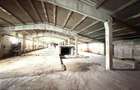 HALE INDUSTRIALE | CLADIRE BIROURI | TEREN 7000 MP | GHEGHIE BIHOR - 5