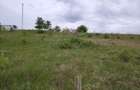 Teren intravilan 1800 mp, Centura-Ciurbesti-dubla deschidere - 2