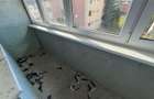 Apartament 3 camere, decomandat - Cugir - 11