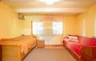 Casă de vacanță la poalele Munților Făgăraș | Teren 8.000 mp | - 22