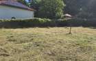 Teren cu PUZ aprobat în Făget, 2072 mp - 4
