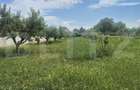Proprietate de vanzare, teren 5488 mp, localitatea Ambud, comuna Paulesti - 7