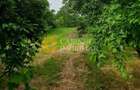 🏡 CASĂ BĂTRÂNEASCĂ + 1700 MP  TEREN  LA STRADA PRINCIPALĂ  – TUTORA, IAȘI 🌿 - 3