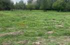 Ferma zootehnica mixta in judetul Vrancea - 1