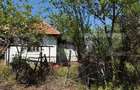 Casa cu teren 1100 mp și hala în curte, sat Cârbești - 5