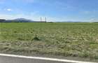 Vanzare teren industrial comercial 18.000 mp - 6