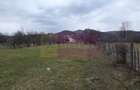 Teren 734 mp intravilan de vanzare in Brebu - 7