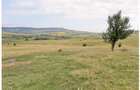 Teren Sercaia  250 ha - 7